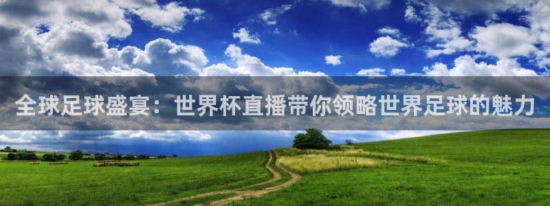 世界杯附加赛赛程表：全球足球盛宴：世界杯直播带你领略世界足球的魅力