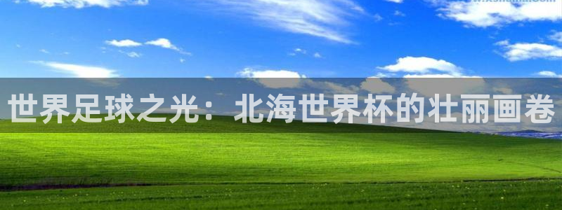 世界杯球赛：世界足球之光：北海世界杯的壮丽画卷