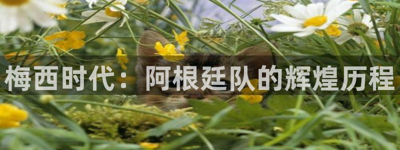 2026世界杯南美区积分榜：梅西时代：阿根廷队的辉煌历程
