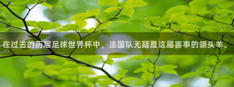 2026世界杯南美区积分榜：在过去的历届足球世界杯中，法国队无疑是这届赛事的领头羊。