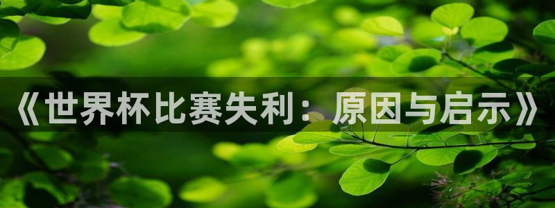 2026世界杯小组赛赛程时间表：《世界杯比赛失利：原因与启示》