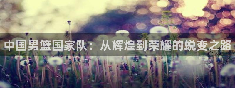 葡萄牙世界杯赛程:中国男篮国家队:从辉煌到荣耀的蜕变之路
