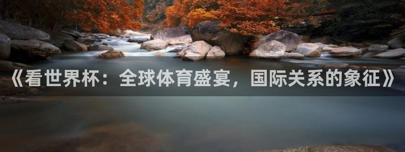 2026世界杯买球:《看世界杯:全球体育盛宴,国际关系的象征》
