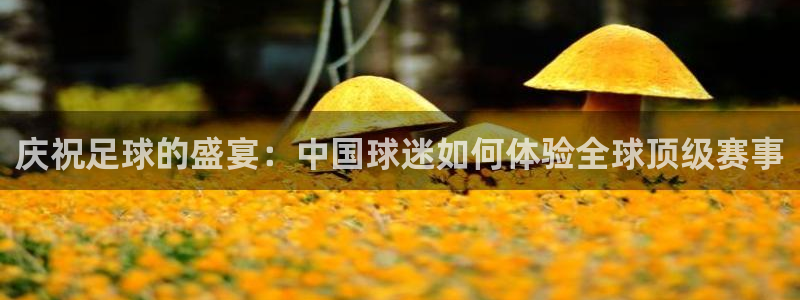 欧洲世界杯预选赛:庆祝足球的盛宴:中国球迷如何体验全球顶级赛事