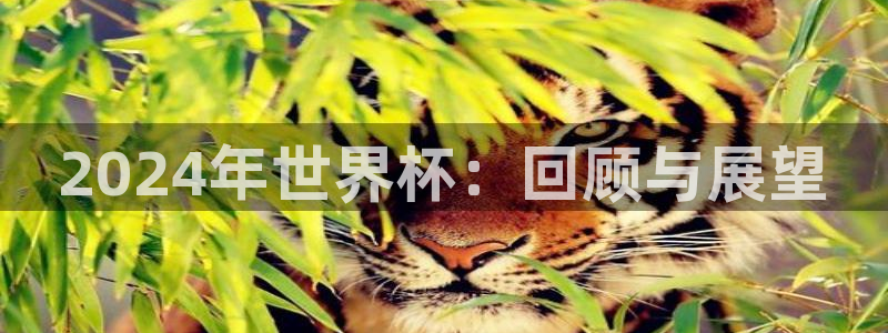 世界杯预选赛规则:2024年世界杯:回顾与展望